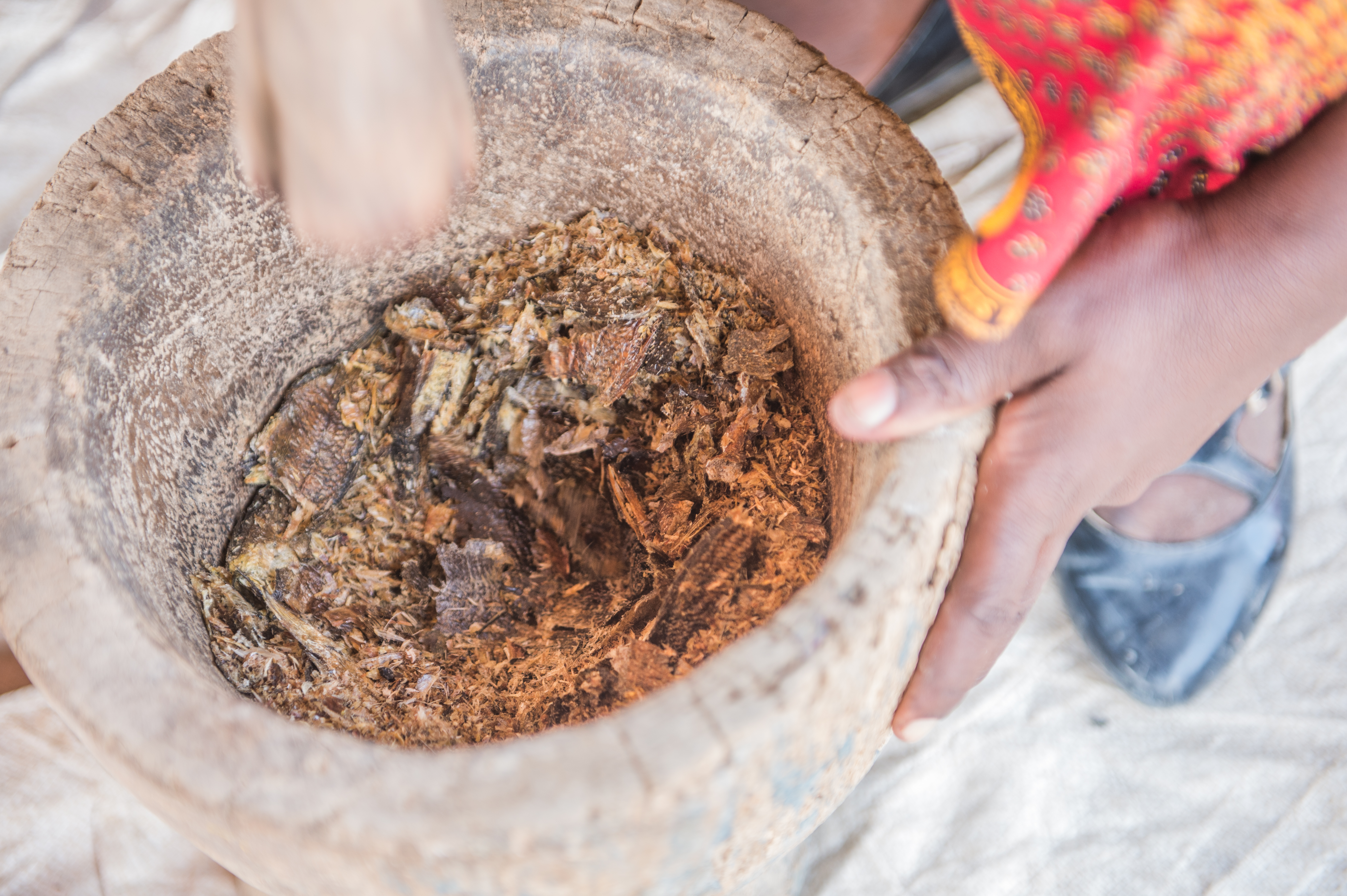 The project aims to expand the availability of nutritious aquatic food products and provide support across the supply chain. Photo by Chosa Mweemba